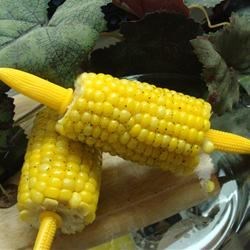 Cooking Health Microwave Corn on the Cob