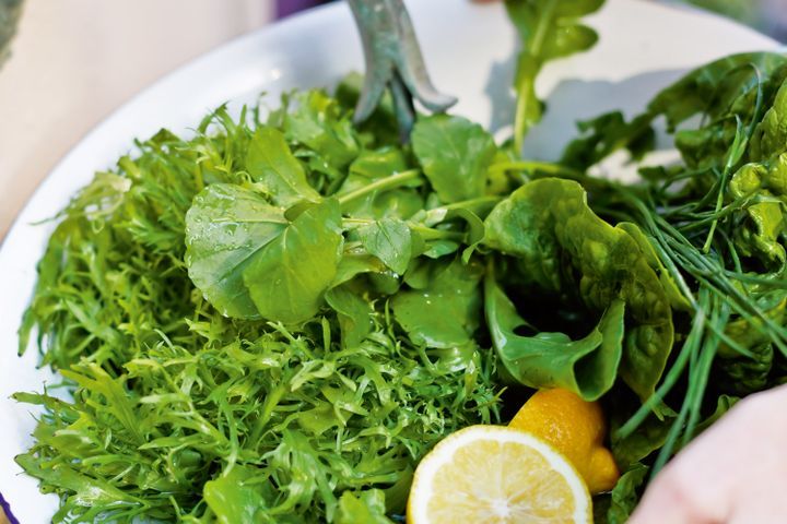 Cooking Salads Green salad with herbs