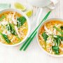 Asian chicken, corn and noodle soup