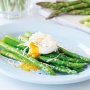 Asparagus with poached egg