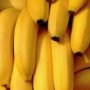 Banana Protein Shake Lactose Free