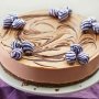 Chocolate cheesecake with crunchy hazelnut swirl
