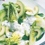 Cos, mint and avocado salad