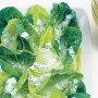 Cos salad with creamy tarragon dressing