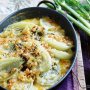 Fennel, thyme and parmesan gratin