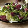 Fennel and radicchio salad