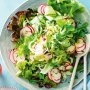 Fennel and radish salad