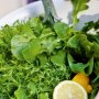Green salad with herbs