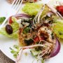 Grilled scampi with Greek salad