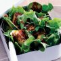 Haloumi and mixed green salad with harissa dressing