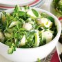 Potato and celery salad with yoghurt dressing