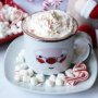 Santas Hot Cocoa Mix