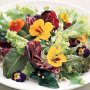 Spring salad with jasmine flower vinaigrette
