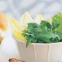 Witlof & baby leaf salad