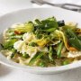 Zucchini flower and asparagus pasta