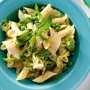 Penne with zucchini, peas and mint